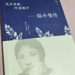 柯兰为你读书《陆小曼》4★破茧