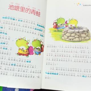 池塘里的青蛙🐸🐸