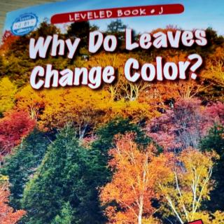 Why Do Leaves Change Color