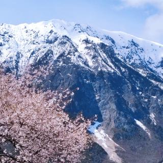 重塑认知，成就未来