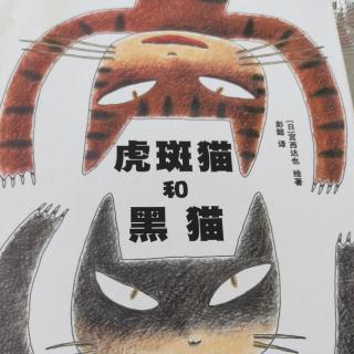 虎斑猫和黑猫