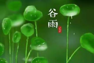 在谷雨渴望一场雨 蒹葭苍苍