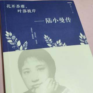 柯兰为你读书《陆小曼》6★婚后