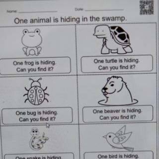 B3-One animal is hiding in the swamp