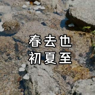 白噪音｜流水声，听完耳朵进水了