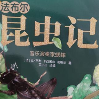 《昆虫记》之音乐演奏家蟋蟀