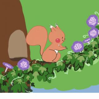 《小松鼠的神奇花种子》