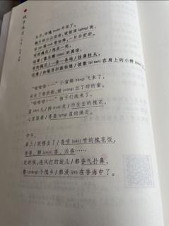 槐乡五月