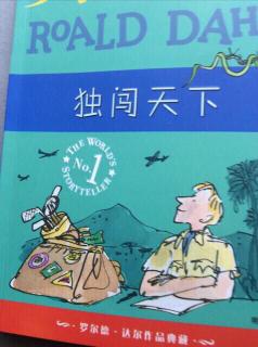 《独闯天下》 阅读40分钟190页到210页