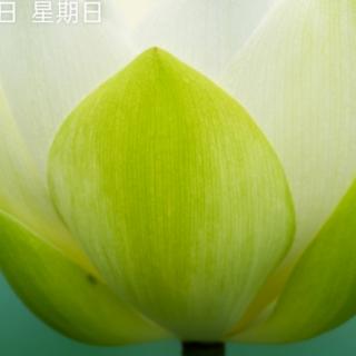 《黄修易录》