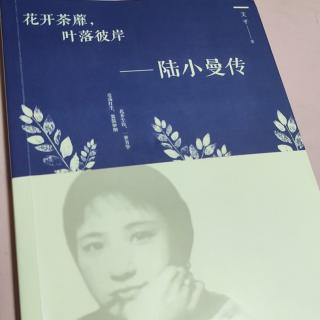 晚间书房《陆小曼》9★两个世界？