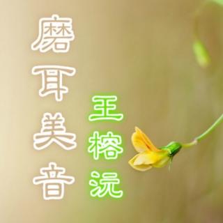 磨耳美音—命中注定（摘自秦东魁老师语录）