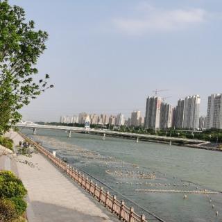 微风滴雨落花飞