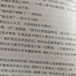 黑骏马1