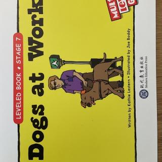 RAZ-Dogs at Work20220508