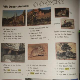 s2 L14 Desert Animals