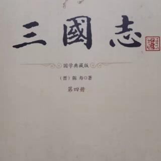 《三国志》和常杨杜赵裴传2