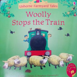 Wooly Stops The Train