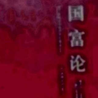 二  消费品税13