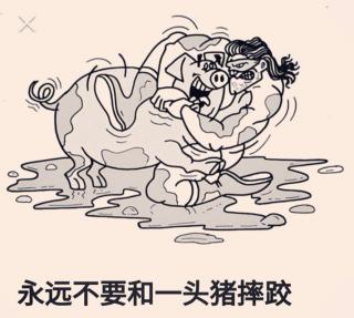 永远不要和一头猪摔跤