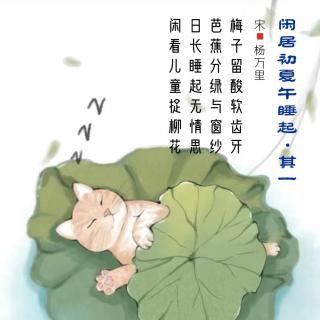 316.闲居初夏午睡起·其一 杨万里