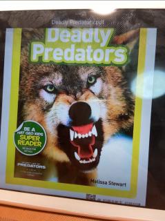 17 lucas deadly predators day2