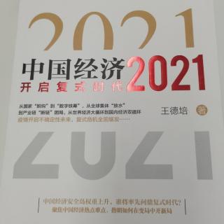 《中国经济2021》103页-124页