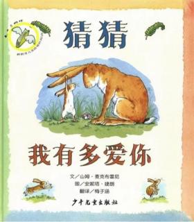 《猜猜我有多爱你》