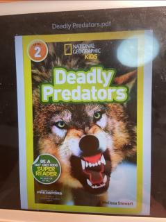 17 lucas deadly predator whole