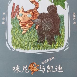 咪尼与凯迪