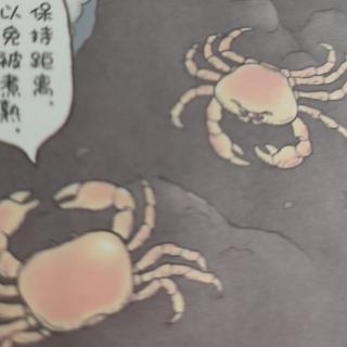 遗憾的进化142：海底热液口蟹