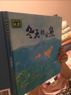 冬天的小鱼🐟