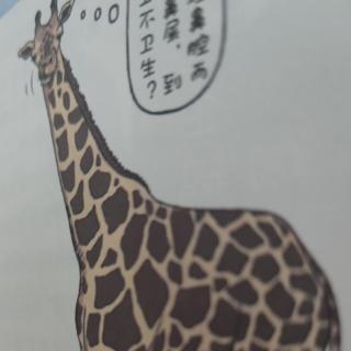 遗憾的进化144：长颈鹿🦒