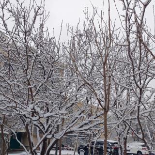 原创文字｜暗夜的雪，请跟随我的灵魂一路向北