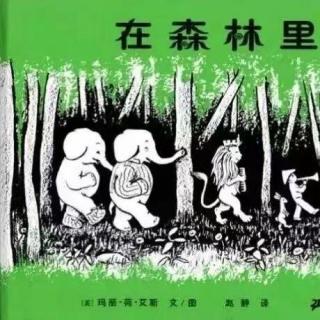 
绘本故事《在森林里》