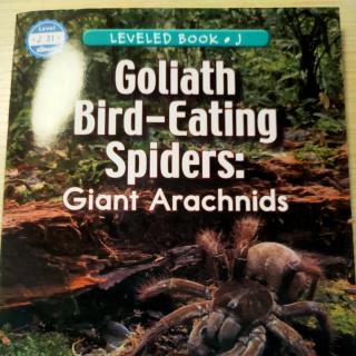 Giant Arachnids