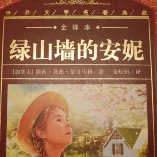 《绿山墙的安妮》第二章 马修   卡思伯特大吃一惊   下