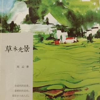 下谷子的雨｜作者：刘云