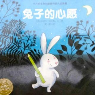 《兔子的心愿》