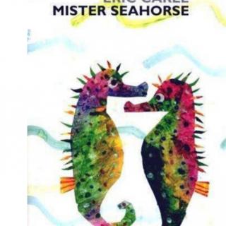 Mr Seahorse