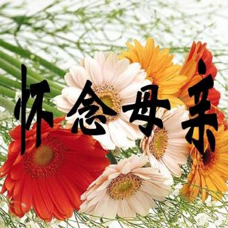 《思母》作者：回泉山人   诵读：鲁冰花