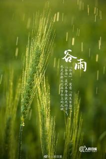 节气故事 | 谷雨