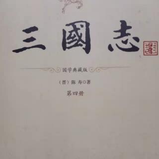 《三国志》辛毗杨阜高堂隆传3