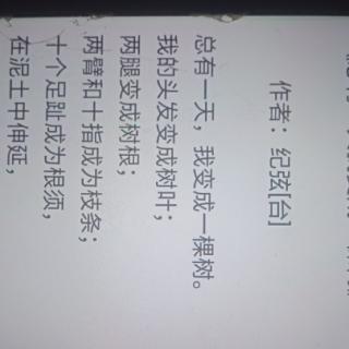 《我变成一颗树》