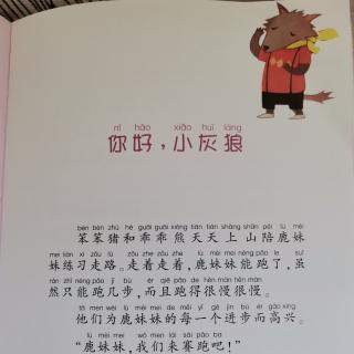 你好，小灰狼🐺