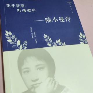 晚间书房《陆小曼》18★要结婚