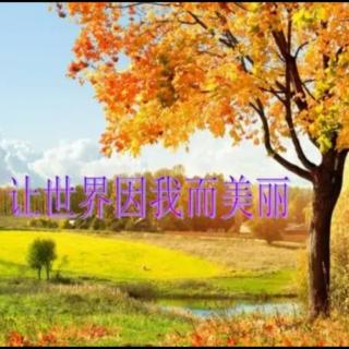 《 让世界因我而美丽 》