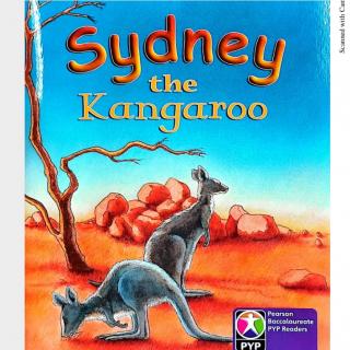 Sydney the Kangaroo P8