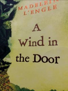 A wind in the door