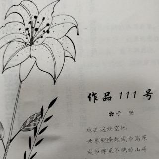 30｜作品111号